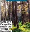  ??  ?? COOL OFF Escape the heat in the Troodos Mountains