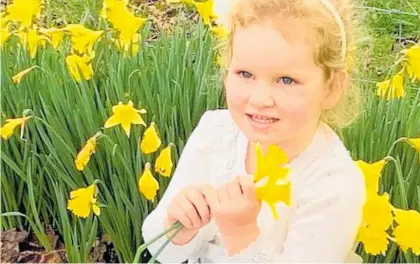  ?? Photo / Supplied ?? Harper Lalich, 3, pictured in a field of daffodils. There will be plenty of fresh daffodils available on Friday this week for Daffodil Day.