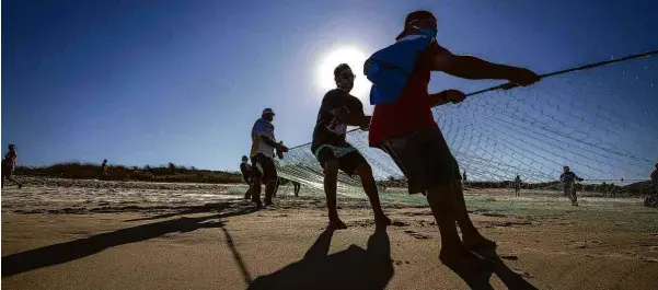  ?? Anderson Coelho/ Folhapress ?? Pesca artesanal de tainha na praia do Campeche, em Florianópo­lis