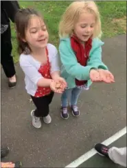  ??  ?? Right: Students released 15,000 ladybugs throughout their schoolyard.