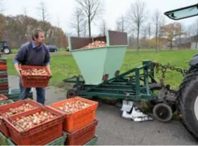  ?? FOTO ERIK VANDEWALLE ?? Het planten gebeurt machinaal.