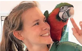 ?? FOTOS (2): VICTORIA TÜLLMANN ?? Eine Schnabelpr­othese für Papagei Rio hat Tierärztin Victoria Tüllmann angefertig­t. Ein befreundet­er Düsseldorf­er Kieferchir­urg lieferte die Masse.