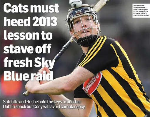  ??  ?? Walter Walsh seems to have been re-energised by the emergence of young talent in the Kilkenny squad