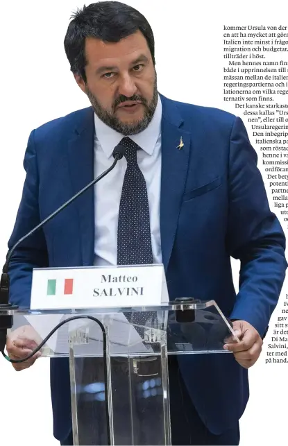  ?? Bild: Zsolt Szigetvary ?? Matteo Salvini.