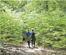  ?? FOTO: UWE ZUCCHI/DPA ?? Bei einem gemeinsame­n Spaziergan­g im Wald geht man unbewusst im gleichen Rhythmus und so gleichen sich auch die Gefühle an.