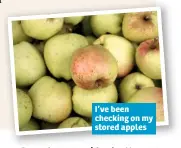  ??  ?? I’ve been checking on my stored apples