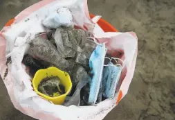  ??  ?? Used face masks, plastics and other debris at Baker Beach is collected by Holman — who cleans there most mornings — and other volunteers.
