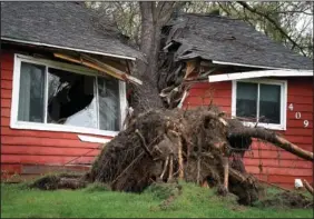  ?? (AP/Star Tribune/David Joles) ?? A tree toppled by high winds from an overnight thundersto­rm smashed into a house, splitting it in two, on Thursday in Coon Rapids, Minn.