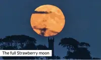  ??  ?? The full Strawberry moon
