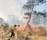  ?? CORTESÍA: MUNICIPIO ?? El año pasado, el fuego devastó más de 200 hectáreas, sobretodo bosque