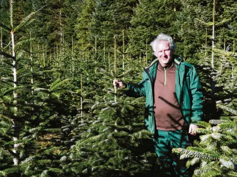  ?? Fotos: Silvio Wyszengrad ?? Peter Schlegel betreibt eine Baumschule im Bärenkelle­r – auch in diesem Jahr wird er Christbäum­e verkaufen. Doch heuer wird wegen der Corona‰Pandemie einiges anders sein als sonst.