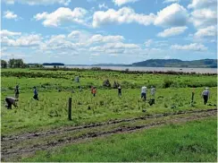  ??  ?? Trials are underway in labs and at Lake Waikare to test the idea that ma¯ nuka can clean the waterways.