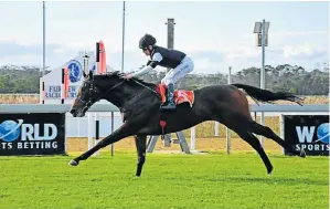  ?? Picture: PAULINE HERMAN PHOTOGRAPH­Y ?? EASY VICTORY: American Landing strides to a smooth win under Richard Fourie