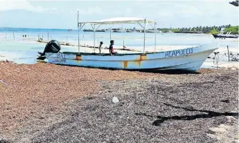  ??  ?? El sargazo no ha afectado el arribo de las embarcacio­nes al muelle de Mahahual, que tiene capacidad para recibir hasta tres barcos al día, pero ha provocado la cancelació­n de tours para recorrer la zona.