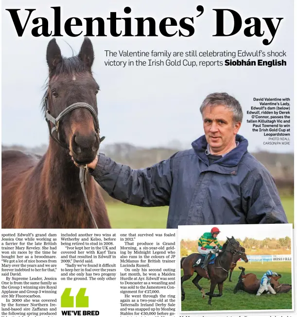  ?? PHOTO: NIALL CARSON/PA WIRE ?? David Valentine with Valentine’s Lady, Edwulf’s dam (below) Edwulf, ridden by Derek O’Connor, passes the fallen Killultagh Vic and Paul Townend to win the Irish Gold Cup at Leopardsto­wn