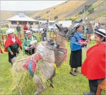  ?? PATRICIA OLEAS / EXPRESO ?? Rural. El turismo es una de las opciones para las comunidade­s rurales.