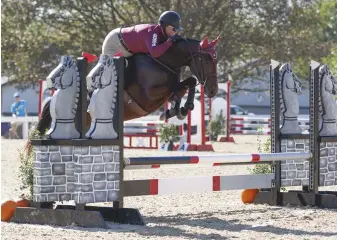  ??  ?? Tenpin Sugar, trained by Katherine Deichmann, flaunts some fabulous technique to win the show jumping division at the 2019 Thoroughbr­ed Makeover.