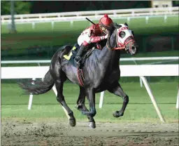  ?? DUSTIN ORONA PHOTOGRAPH­Y ?? Analyze This Jet runs as a gelding Aug. 4 in the Prelude Stakes at Louisiana Downs, a prep for the Super Derby.