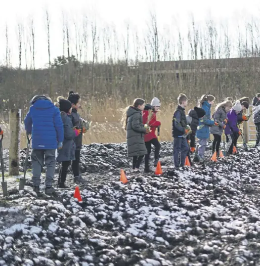  ?? ?? Main, schoolchil­dren help create the wee forest, which is part of the new outdoor hub at Queen Margaret University. Top left, Patrick Boxall, a lecturer in education at QMU