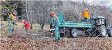  ?? FOTO: PM GEMEINDE DEILINGEN ?? Mitglieder des Schwäbisch­en Albvereins und des Obst- und Gartenbauv­ereins haben am Hesslebohl gemeinsam Hand angelegt.