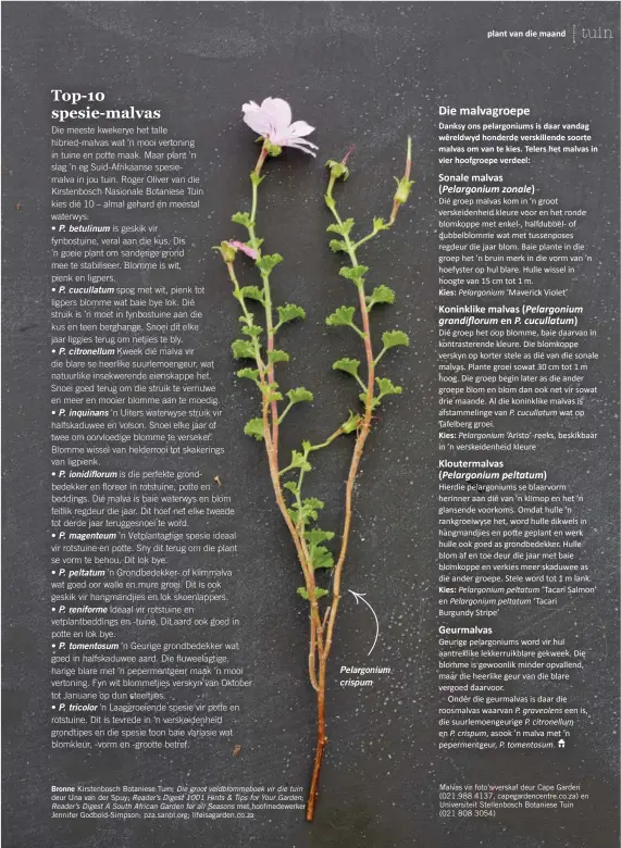  ??  ?? Bronne Kirstenbos­ch Botaniese Tuin; Die groot veldblomme­boek vir die tuin deur Una van der Spuy; Reader’s Digest 1001 Hints & Tips for Your Garden; Reader’s Digest A South African Garden for all Seasons met hoofmedewe­rker Jennifer Godbold-Simpson;...