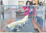  ??  ?? 2 MUESTRA. En el mítico museo hay una réplica del colmillo de mastodonte hallado en Tegucigalp­a en 2014.