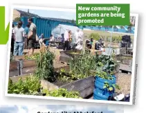  ??  ?? New community gardens are being promoted