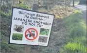  ?? Marian Roche) (Pic: ?? Japanese Knotweed and Himalayan Balsam are known to be in at least 50 locations throughout north Cork alone. The council say engineers have been successful­ly beating the tenacious plant with three and four year treatment programmes.