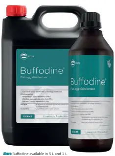  ??  ?? Above: Buffodine available in 5 L and 1 L