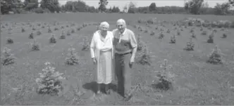  ?? PHOTO COURTESY THE BOLGER FAMILY ?? Cindy and Lorne Bolger, in recent years. He was a bit of a feisty fellow, but he changed with her.