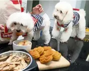  ??  ?? The pooches are tempted by these nutritious homemade snacks (clockwise, from left) Naturally Bilis (which are actually cat treats), Salmon Fudge and Pumpkin Pawffins.