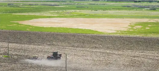  ?? MICHAEL BELL FILES ?? Researcher­s say that run-off from farm fertilizer­s in the Qu’appelle Valley has increased the growth of a blue-green algae which produces a cancer-causing toxin.