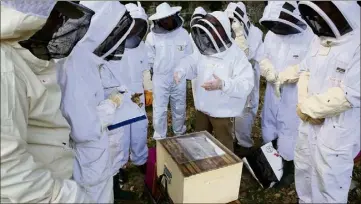  ?? (Photos Frank Tetaz) ?? Les élèves autour d’une ruche recouverte d’un plexiglas pour en favoriser l’observatio­n non invasive.