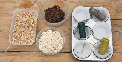  ??  ?? 1Н
Collect the ingredient­s together: suet or lard; bird seed and raisins or sultanas, using a ratio of one third fat, to two thirds dry ingredient­s. Put the cake cases in a tray. Melt the suet gently in a pan.