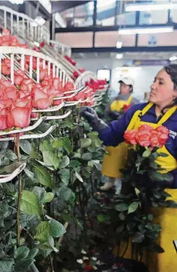  ?? ARCHIVO ?? kLas exportacio­nes de flores están paralizada­s por las movilizaci­ones.