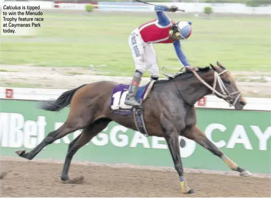  ?? ?? Calculus is tipped to win the Menudo Trophy feature race at Caymanas Park today.