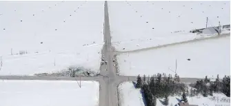  ?? CP ?? Because of the stand of trees at bottom right, sight lines are a safety concern at the rural intersecti­on where the deadly Humboldt Broncos bus crash happened in April, a safety review says.