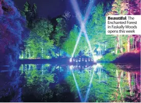  ??  ?? Beautiful The Enchanted Forest in Faskally Woods opens this week