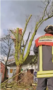  ??  ?? An der Heerdter Landstraße drohte ein Baum auf ein Wohnhaus zu kippen – die Feuerwehr stoppte die Gefahr.