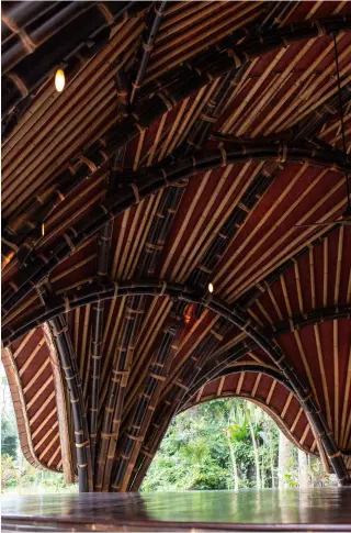  ?? ?? The roof of the Alchemy Yoga and Meditation Center in Bali, designed by Ibuku, is crafted from overlappin­g poles of locally-harvested bamboo