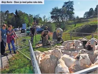  ?? ?? Alojz Kerin - Slavc je imel polne roke dela.