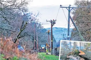  ?? ?? No power Communitie­s were left cut off for days in 2021 after trees damaged phonelines during Storm Arwen