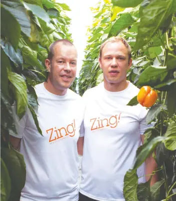  ?? [SUBMITTED.] ?? Duffy and Jordan Kniaziew are first-generation farmers in Leamington who’ve adopted innovation as their focus in looking to deliver products that match what consumers are looking for. Peppers are the core product at their Orangeline Farms operation, where they manage the process from picking the right seeds to product placement in stores.