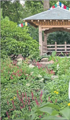  ?? Picture Suzanne Plunkett ?? Dawa Sherpa and wife Angdiki in garden he helped create at Chelsea Flower Show, and, top, a Himalayan blue poppy