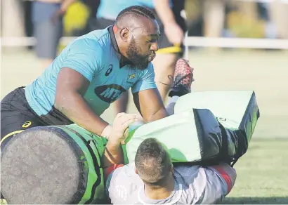  ?? Picture: Gallo Images ?? CRASH COURSE. Springbok prop Beast Mtawarira during training session at Northwood School in Durban this week.