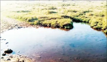  ?? ?? A stream borders the farm on one side, providing a source of crystal clear and refreshing water.