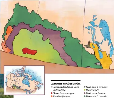  ??  ?? LES PRAIRIES INDIGÈNES EN PÉRIL Terres hautes du Sud-Ouest du Manitoba
Terres hautes à cyprès Prairie à fétuque
Plaine du lac Manitoba
RISK
•
•
•
•
•
•
•
• Forêt-parc à trembles Prairie mixte
Forêt mixte humide Forêt-parc à trembles