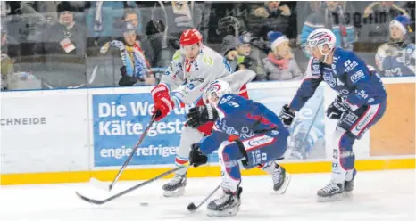  ?? FOTO: BETTY OCKERT/PR ?? Mit viel Kampfgeist wollen die Lindau Islanders gegen die Eisbären Regensburg dagegenhal­ten.