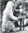  ??  ?? Doris Arndt with one of her polar bears