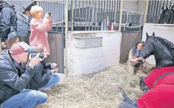  ?? FOTO: DETLEF ILGNER ?? Großer Presseaufl­auf gestern in der Fragenhütt­e: Dort logieren 15 der vierbeinig­en Apassionat­a-Stars. Die Friesen sowie Stallbesit­zerin und Reiterlehr­erin Petra Geschonnec­k wurden zu einem begehrten Fotomotiv.